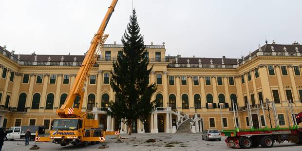 Advent Bécs 20114 karácsonyfa állítás Schönbrunni kastálynál